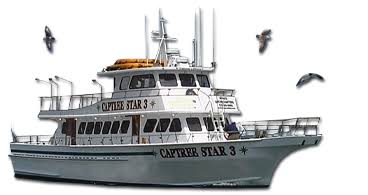 Marine Tutorials