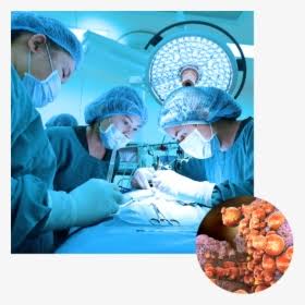 Surgical