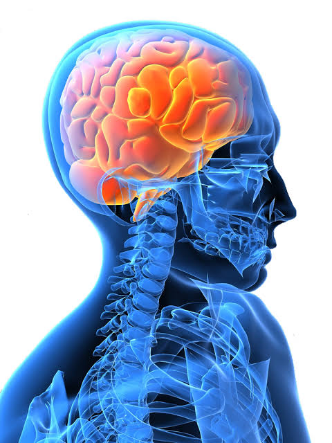 Neurology