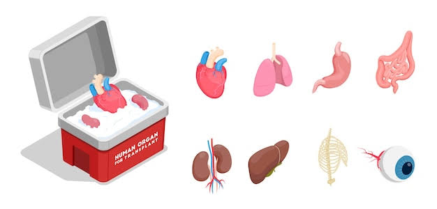 Organ function tests