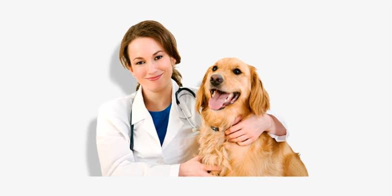 Veterinary